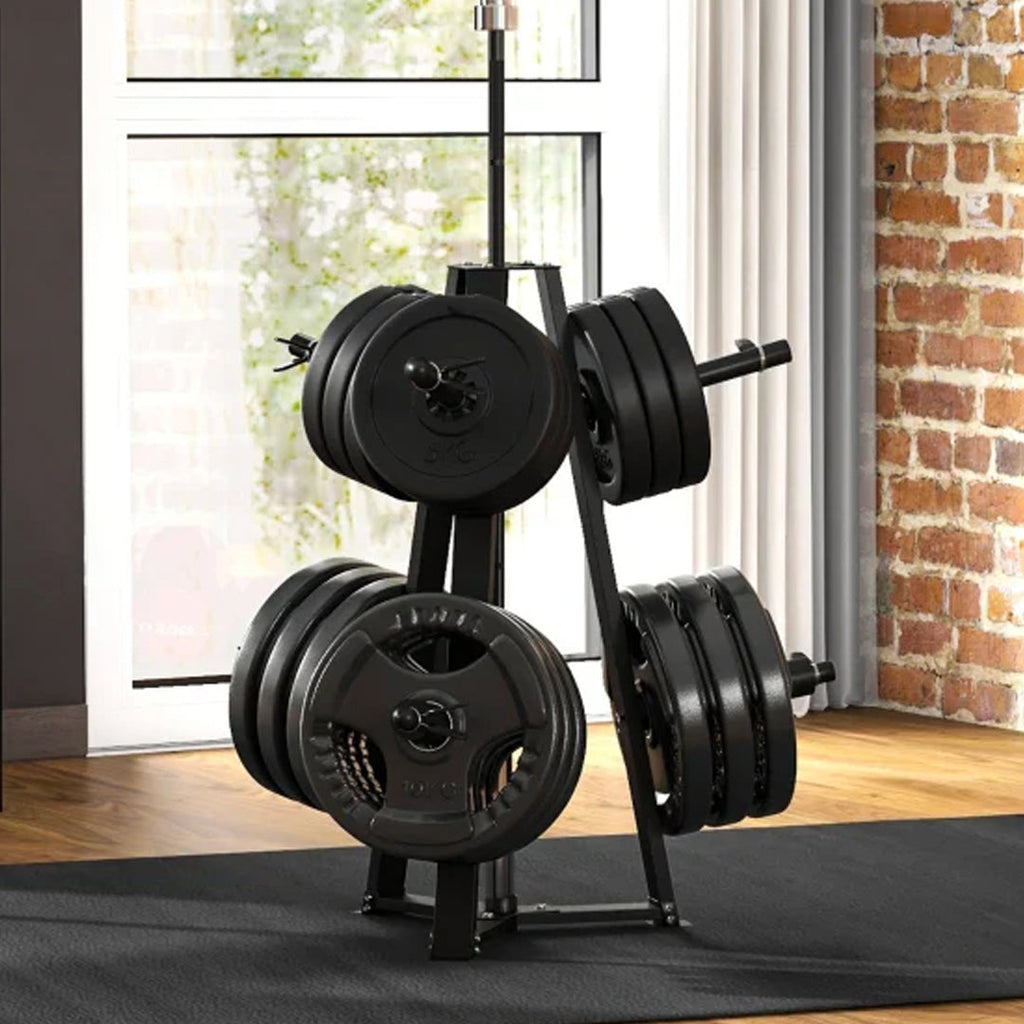 Weight Plates Storage Rack
