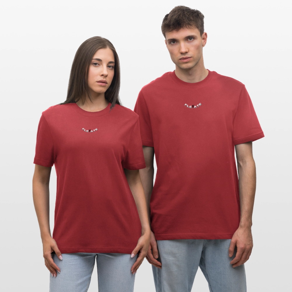 Flexate relaxed fit t-shirt - red earth