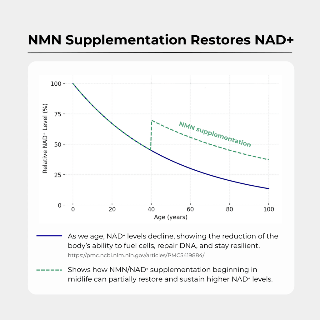 NMN+1200 (NMN, Resveratrol, Pterostilbene)